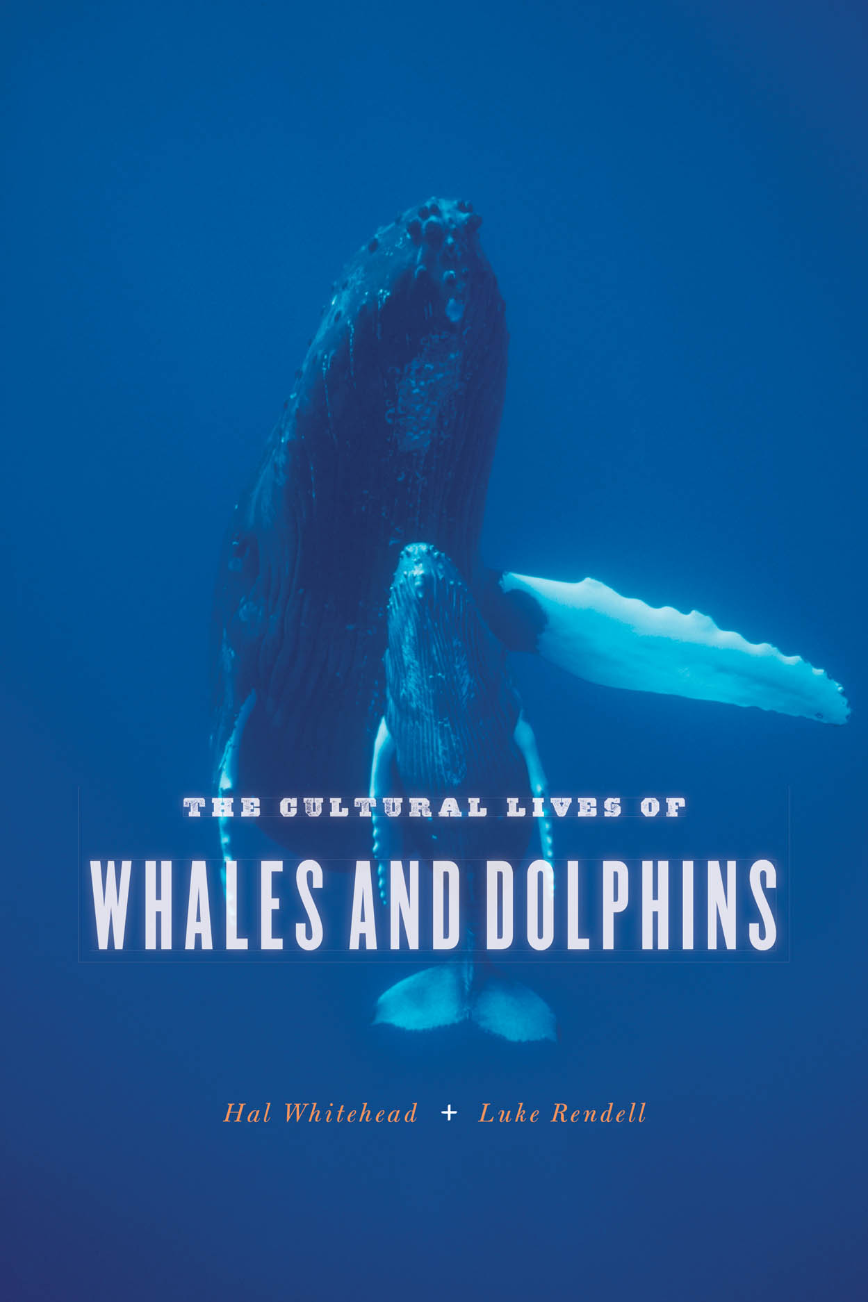 Cultural Lives of Whales and Dolphins (2015, University of Chicago Press)