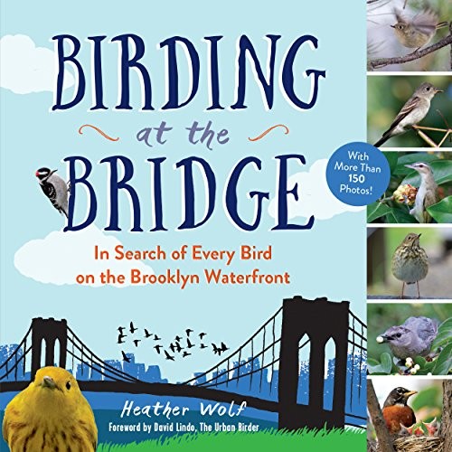 Birding at the Bridge (Paperback, 2016, The Experiment)