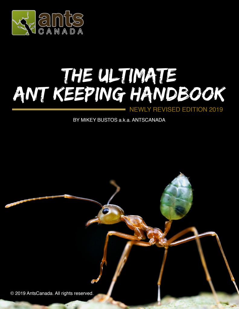 The Ultimate Ant Keeping Handbook (EBook, 2019)