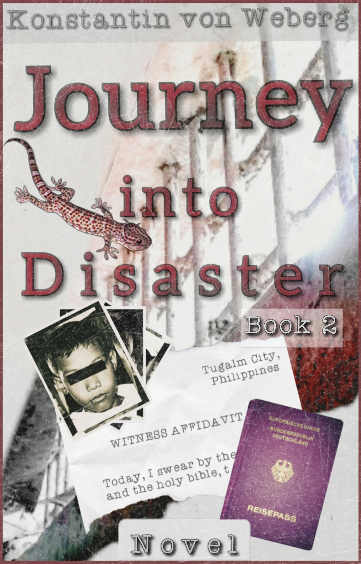 Journey into Disaster (Paperback, Independently Published (Amazon))