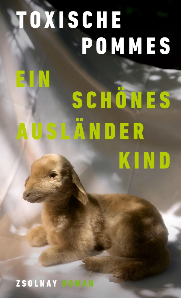 Ein schönes Ausländerkind (Hardcover, Deutsch language, Zsolnay)