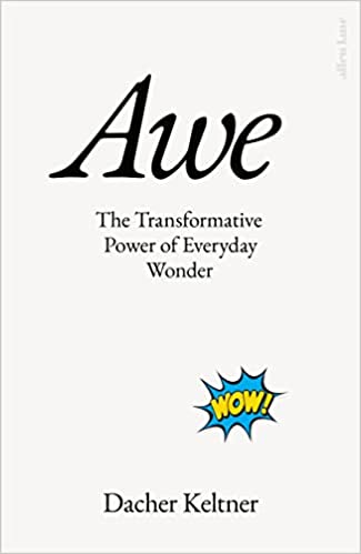 Awe (Hardcover, 2023, Allen Lane)