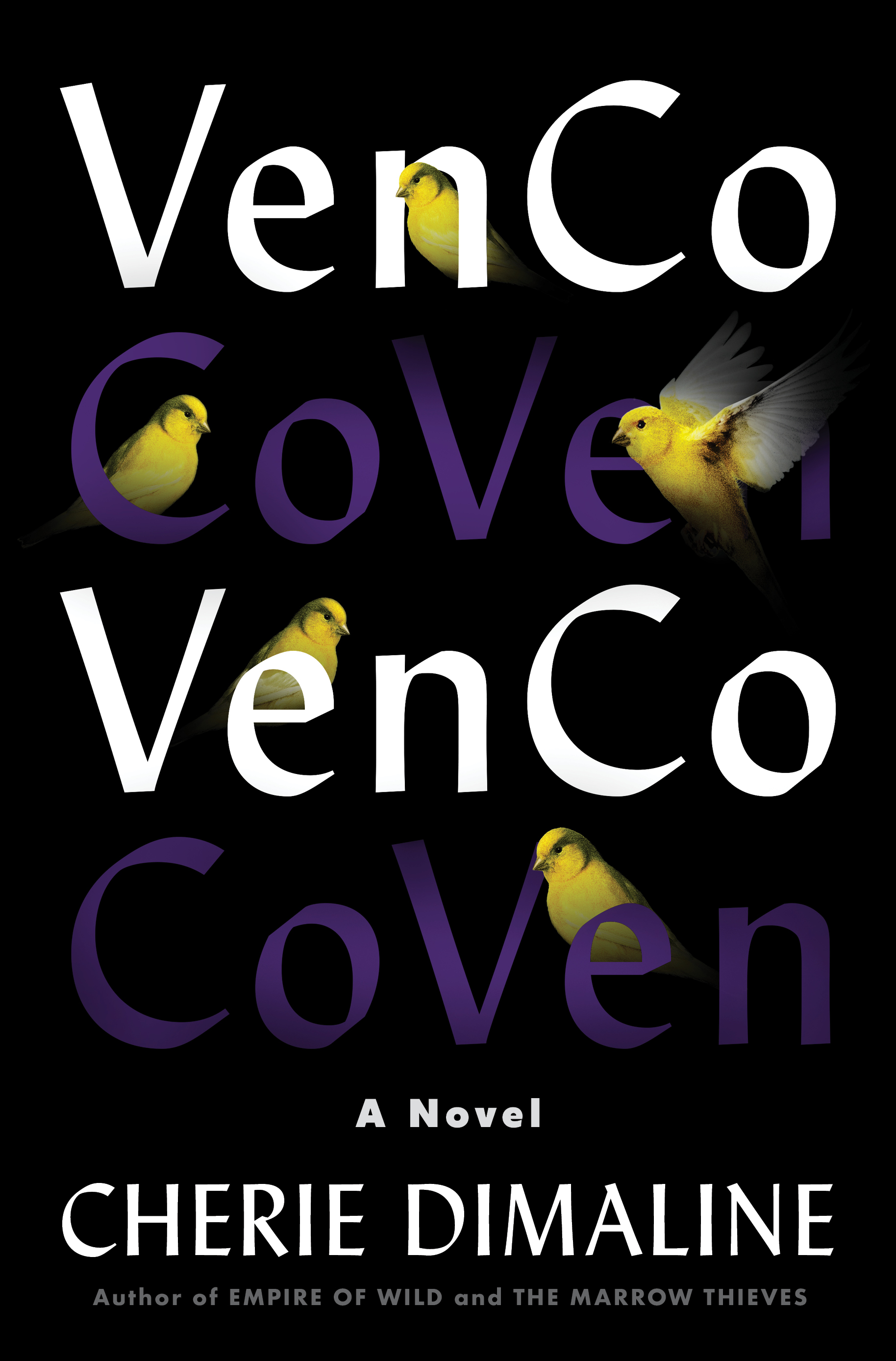 VenCo (Hardcover, 2023, HarperCollins Publishers)