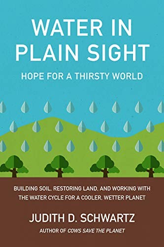 Water in Plain Sight (Paperback, 2019, Chelsea Green Publishing)