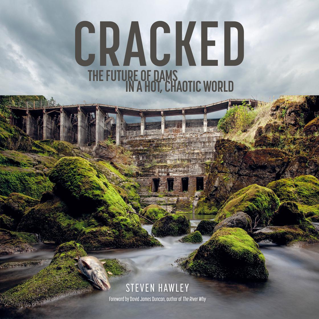 Cracked (AudiobookFormat, 2023, Patagonia)