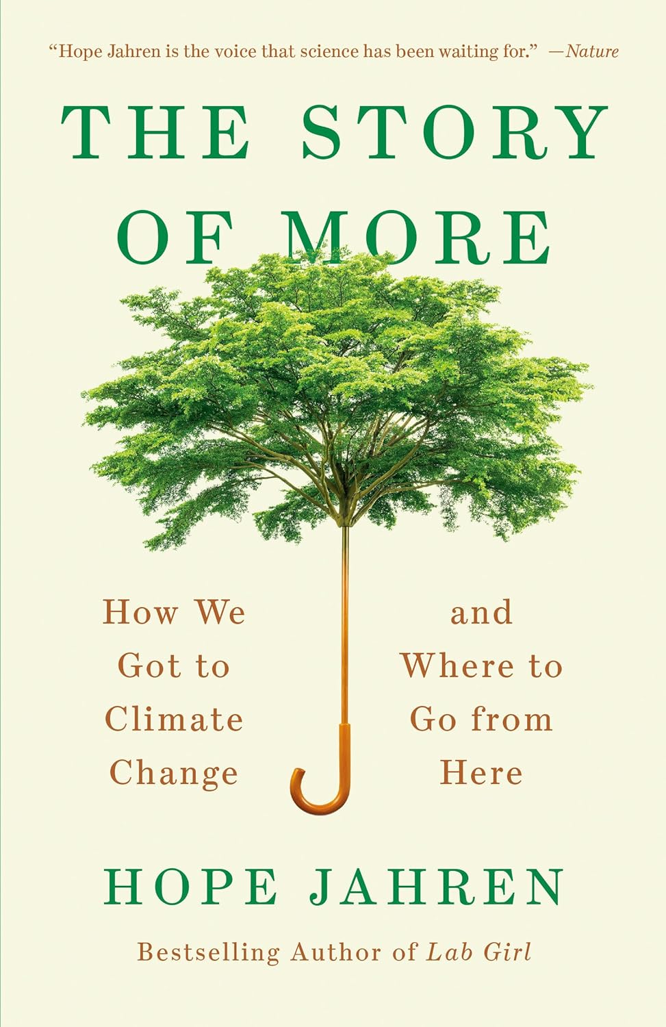 The Story of More (Paperback, 2020, Vintage)