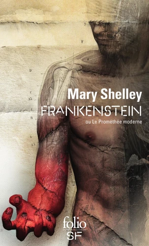 Frankenstein (EBook, français language, 2015, Gallimard)