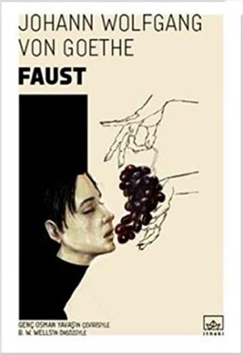 Faust (Paperback, 2016, Ithaki Yayinlari)