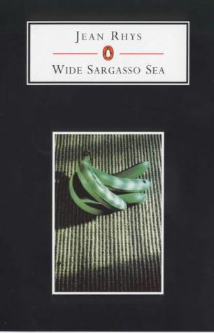 Wide Sargasso Sea (Penguin Student Editions) (Penguin Classics)