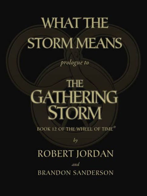 What the Storm Means (EBook, 2009, Doherty Associates, LLC, Tom)