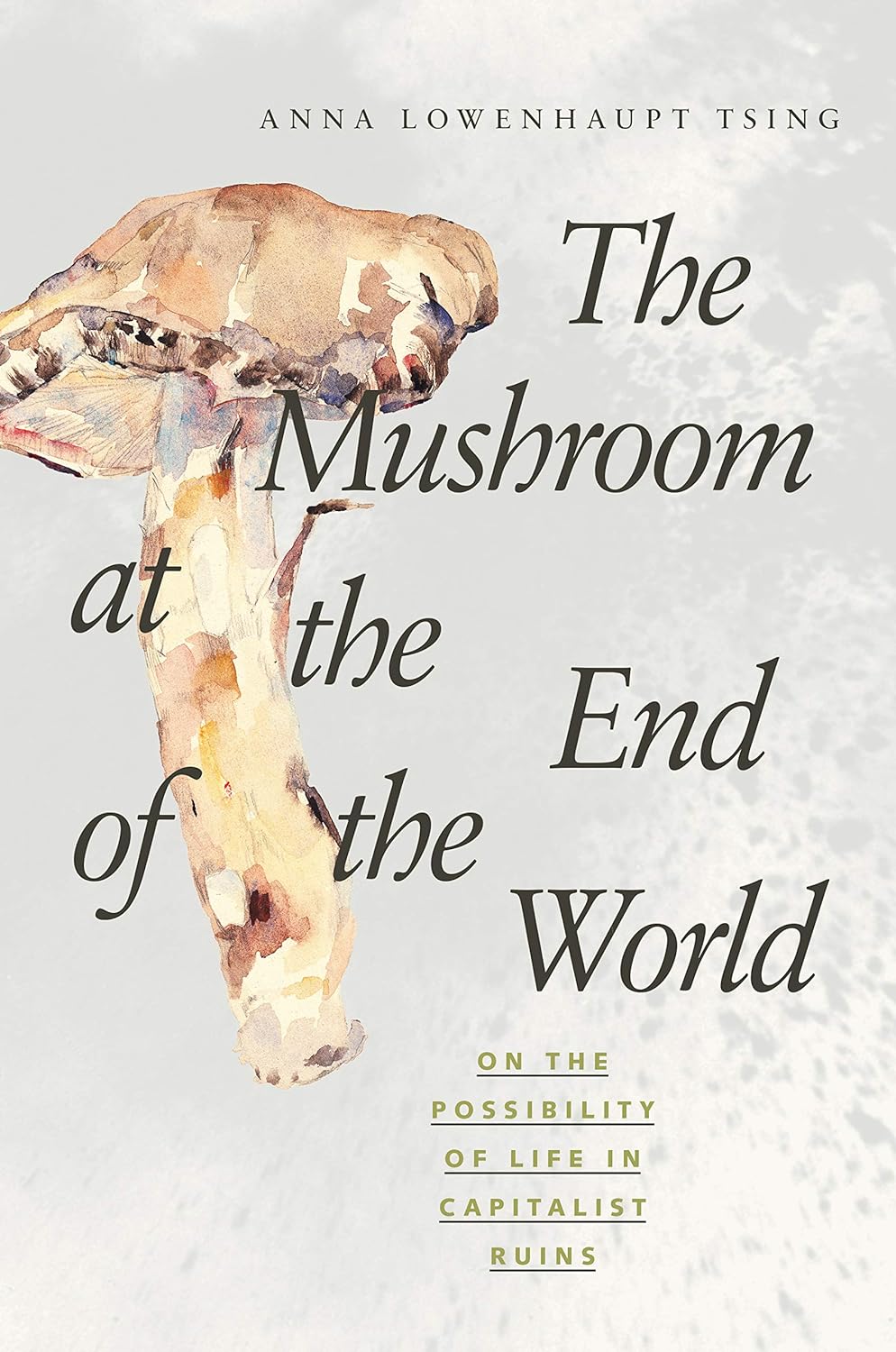 The Mushroom at the End of the World (2015)