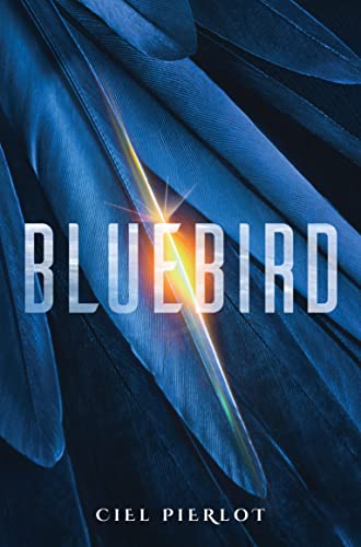 Bluebird (Paperback, 2022, Angry Robot)