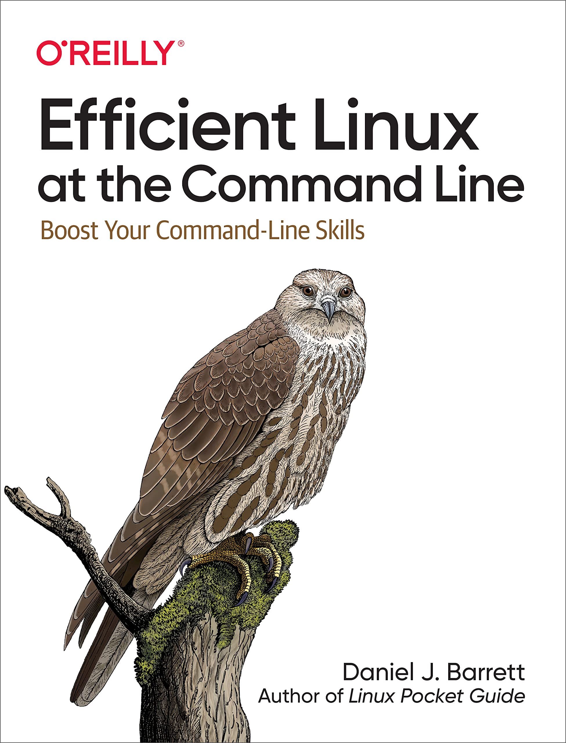 Efficient Linux at the Command Line (2022, O'Reilly Media, Incorporated)