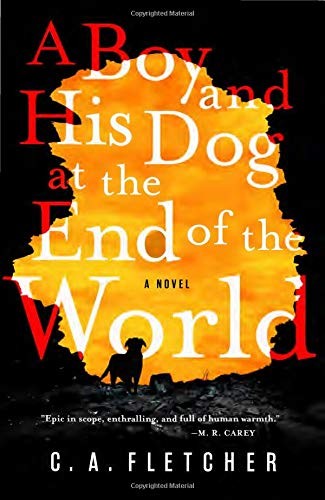A Boy and His Dog at the End of the World (Hardcover, 2019, Orbit)