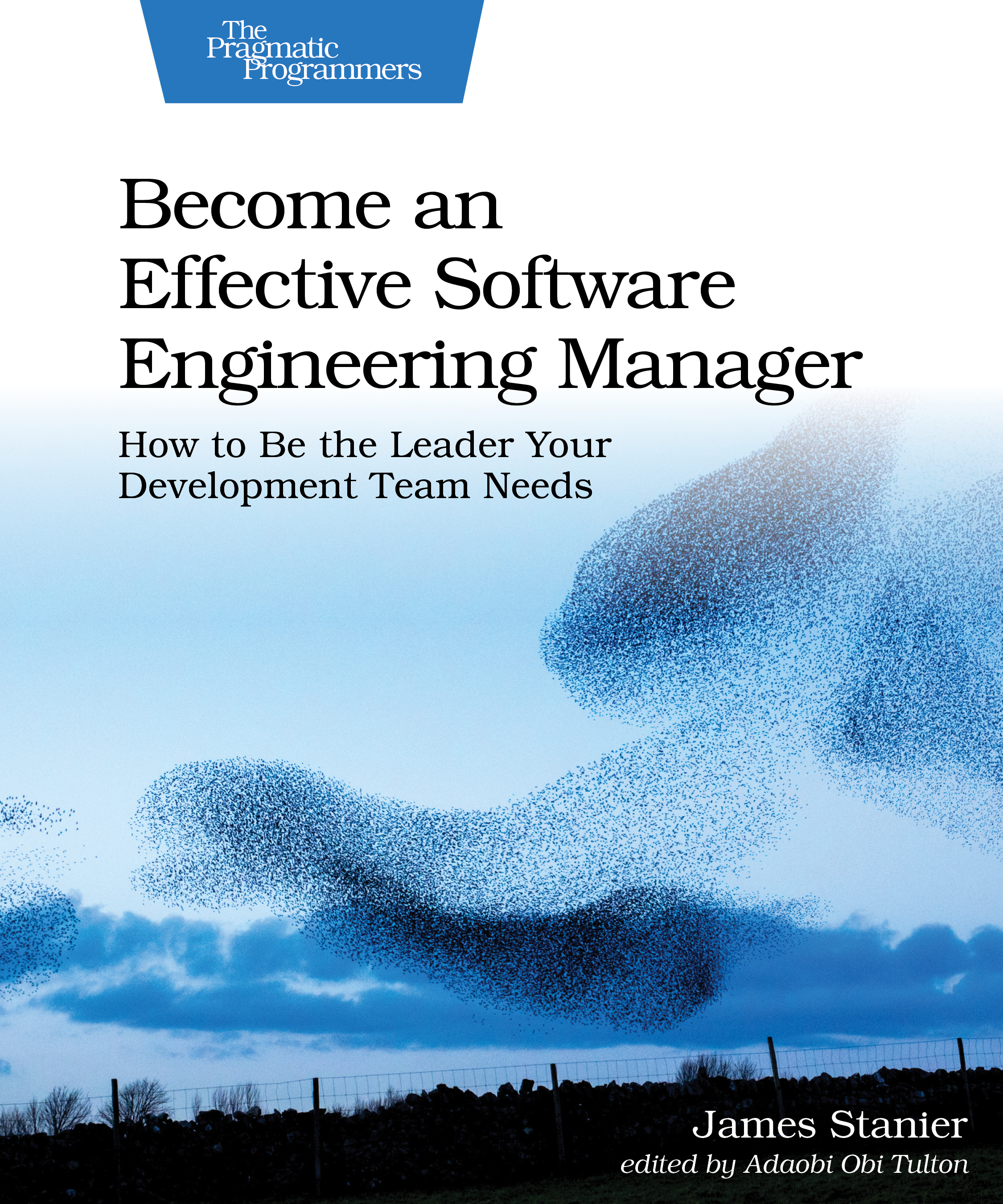 Become an Effective Software Engineering Manager (2020, Pragmatic Programmers, LLC, The)