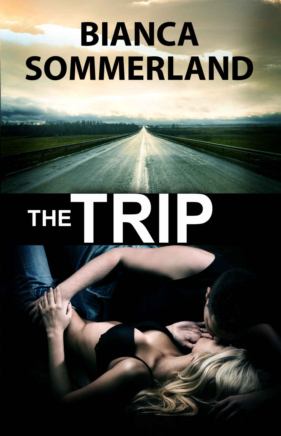 The Trip (EBook, 2013)