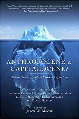 Anthropocene or Capitalocene? (Paperback, 2016, PM Press)