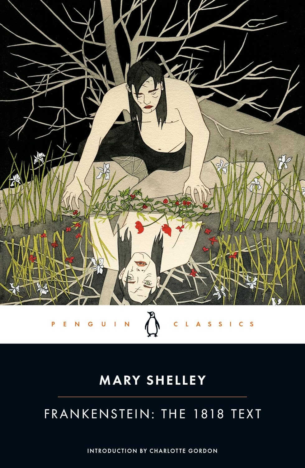 Frankenstein (Hardcover, 2018, Penguin Books)