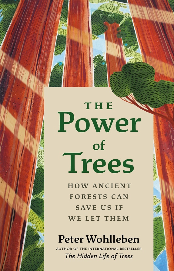 The Power of Trees (Hardcover, english language, 2023, Grey stone Books)