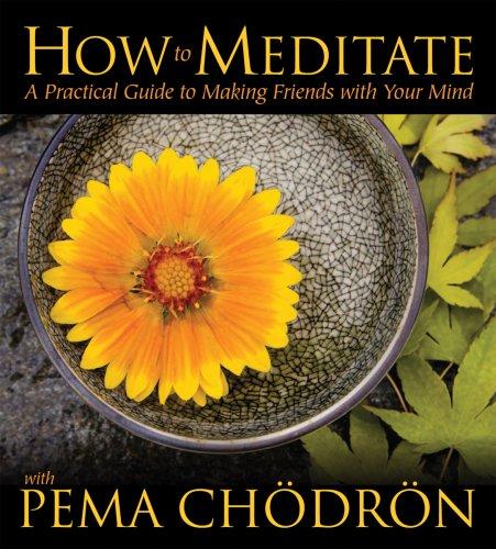 How to Meditate With Pema Chodron (AudiobookFormat, 2007, Sounds True)