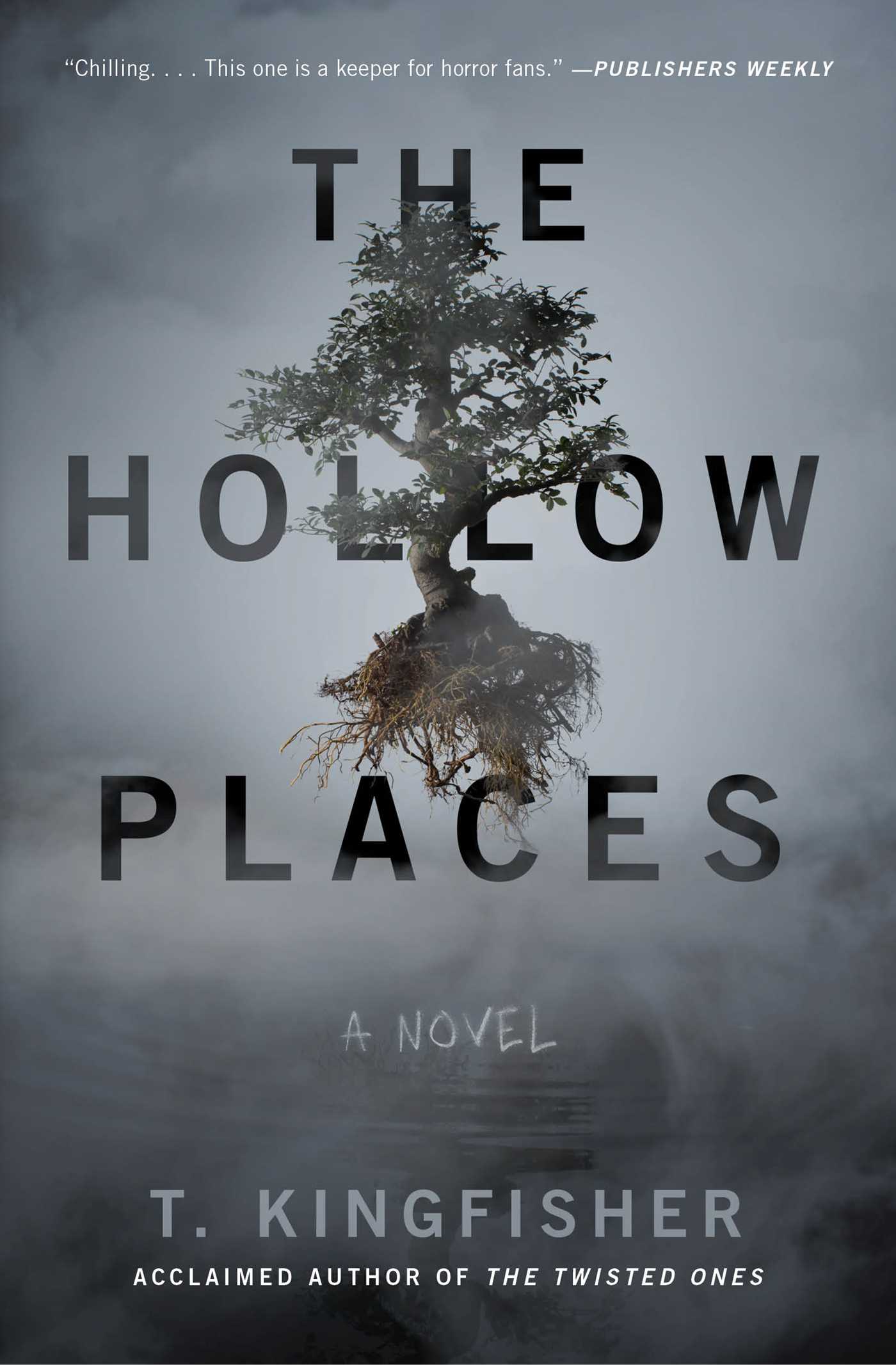 The Hollow Places (2020)