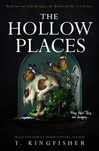 The Hollow Places (Paperback)