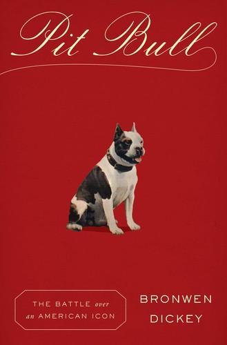 Pit bull (2016)