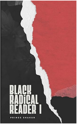 Black Radical Reader I