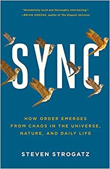 Sync (Paperback, Hyperion)