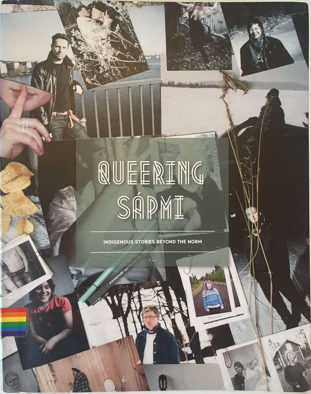 Queering Sápmi (Paperback, 2014, Qub Förlag)