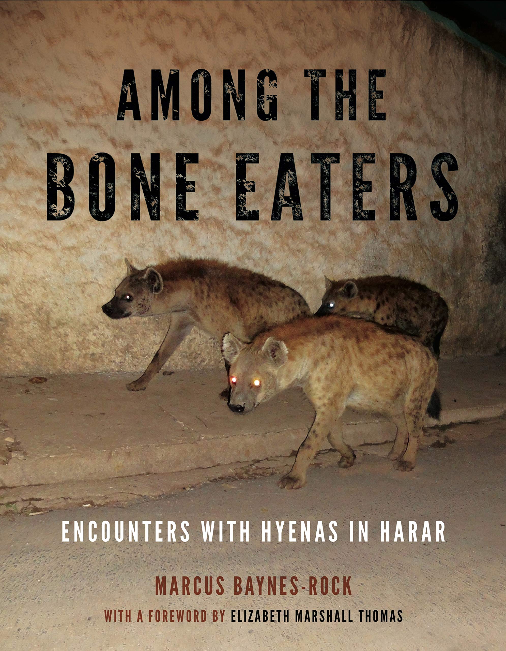 Among the Bone Eaters (2015, Pennsylvania State University Press)