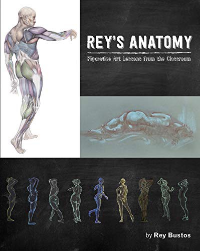 Rey's Anatomy (Hardcover, Design Studio Press)