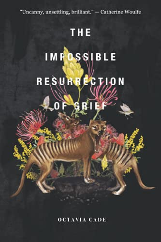 The Impossible Resurrection of Grief (Paperback, Stelliform Press)