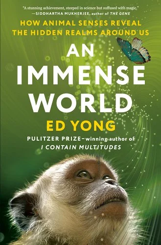 An Immense World (Hardcover, 2022, Penguin Random House)