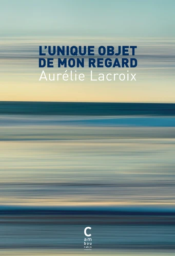 L'Unique objet de mon regard (Paperback, Cambourakis)