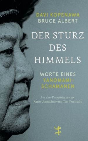 Der Sturz des Himmels (Hardcover, Deutsch language, 2023, Matthes & Seitz Berlin)
