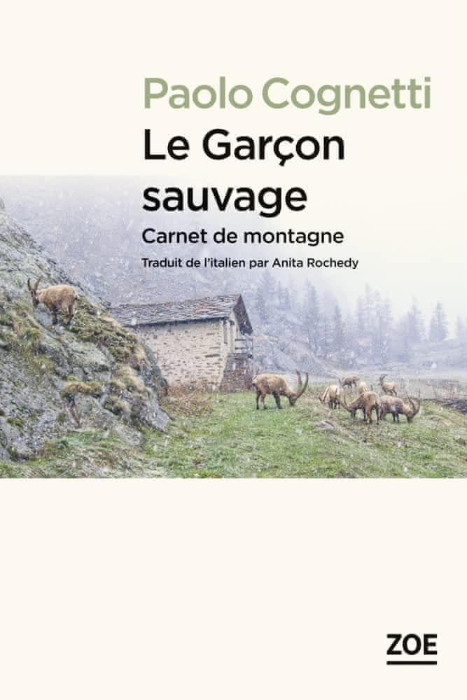 Le garçon sauvage : carnet de montagne (French language)